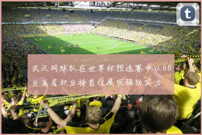 武汉网球队在世界杯预选赛中以66分高居积分榜首位展现强劲实力