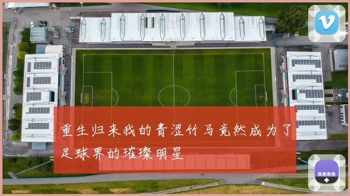 重生归来我的青涩竹马竟然成为了足球界的璀璨明星