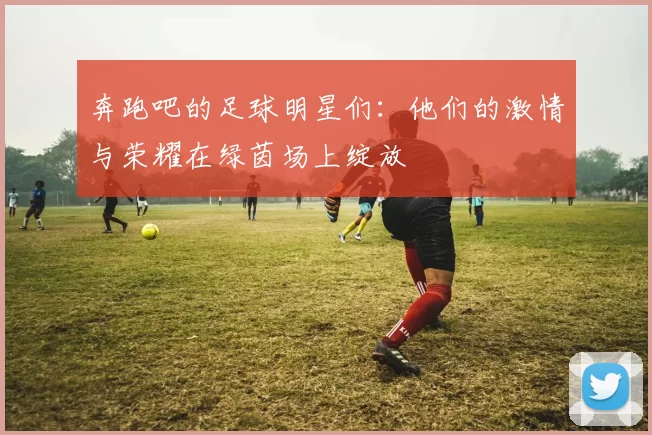 奔跑吧的足球明星们：他们的激情与荣耀在绿茵场上绽放