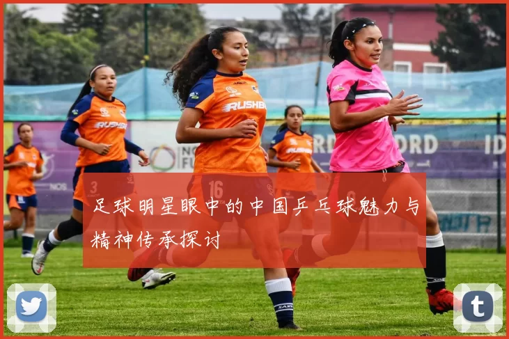 足球明星眼中的中国乒乓球魅力与精神传承探讨