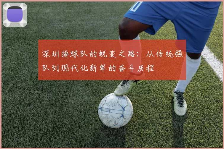 深圳排球队的蜕变之路：从传统强队到现代化新军的奋斗历程