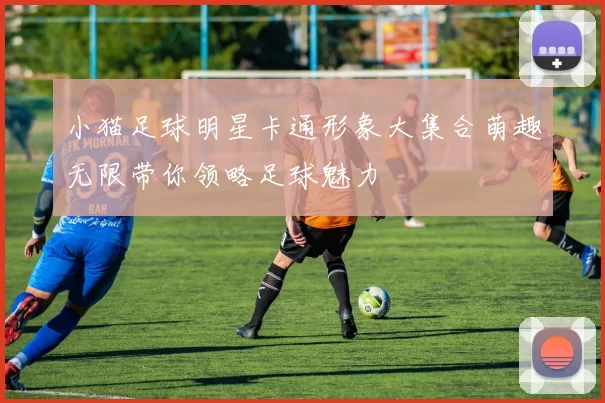 小猫足球明星卡通形象大集合萌趣无限带你领略足球魅力