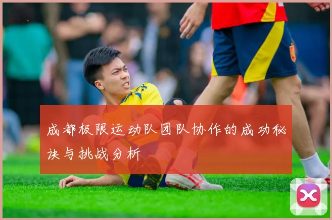 成都极限运动队团队协作的成功秘诀与挑战分析