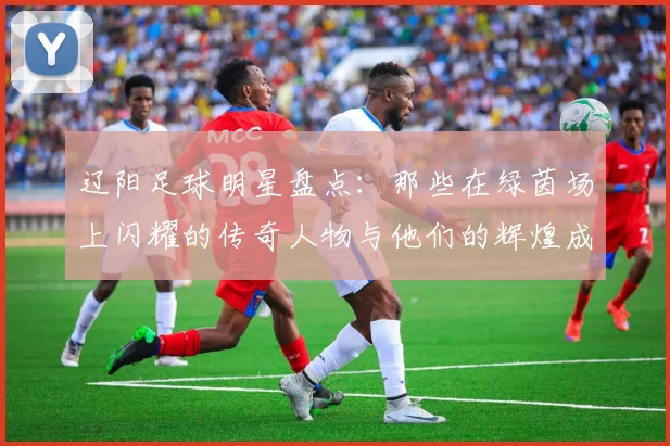 辽阳足球明星盘点：那些在绿茵场上闪耀的传奇人物与他们的辉煌成就
