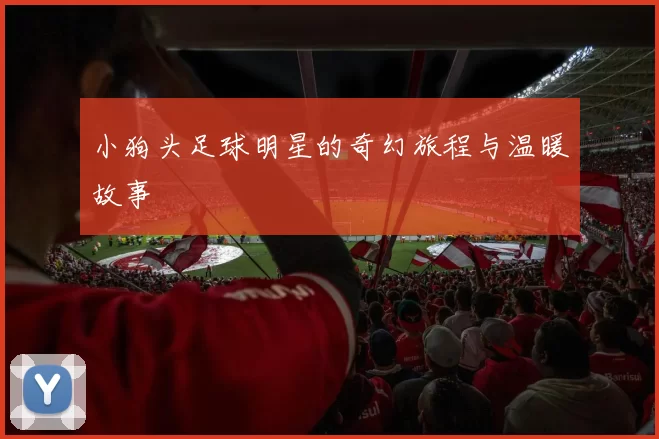 小狗头足球明星的奇幻旅程与温暖故事
