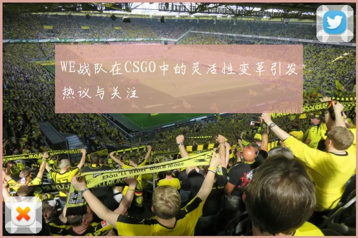 WE战队在CSGO中的灵活性变革引发热议与关注