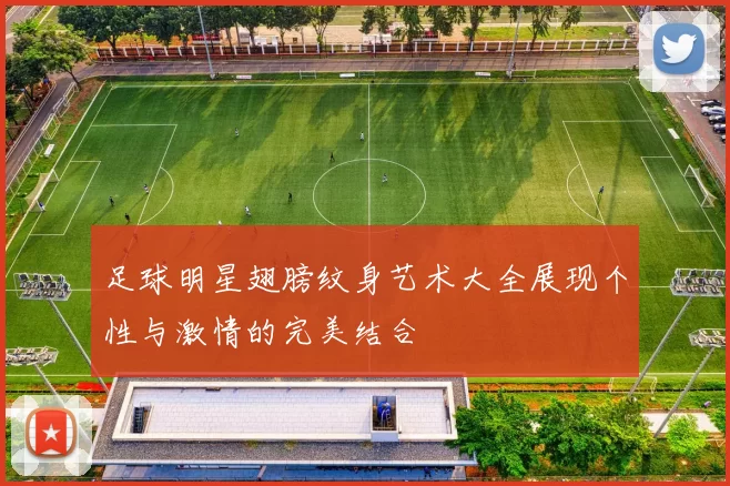 足球明星翅膀纹身艺术大全展现个性与激情的完美结合