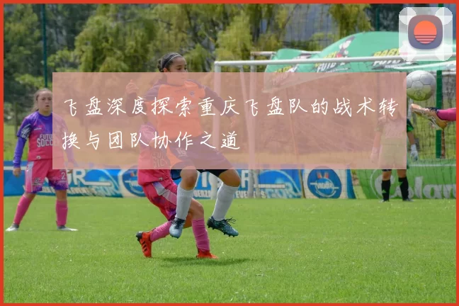 飞盘深度探索重庆飞盘队的战术转换与团队协作之道
