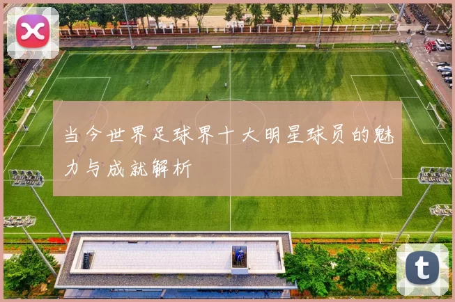 当今世界足球界十大明星球员的魅力与成就解析