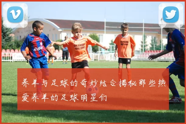 养羊与足球的奇妙结合揭秘那些热爱养羊的足球明星们