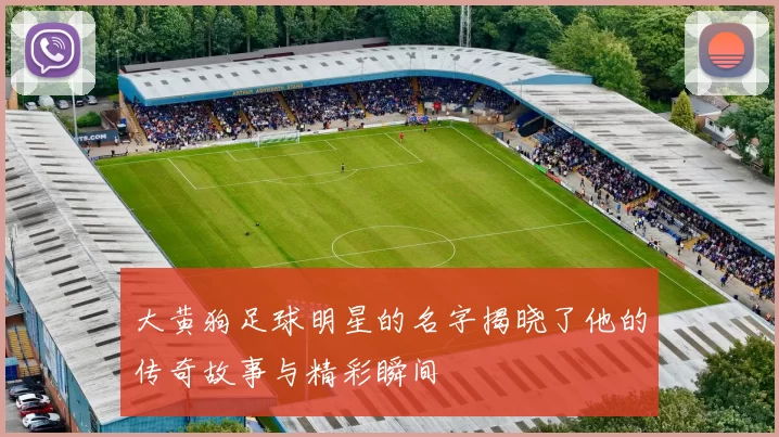 大黄狗足球明星的名字揭晓了他的传奇故事与精彩瞬间