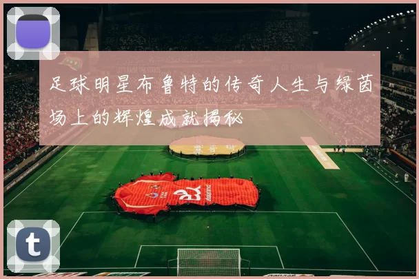 足球明星布鲁特的传奇人生与绿茵场上的辉煌成就揭秘