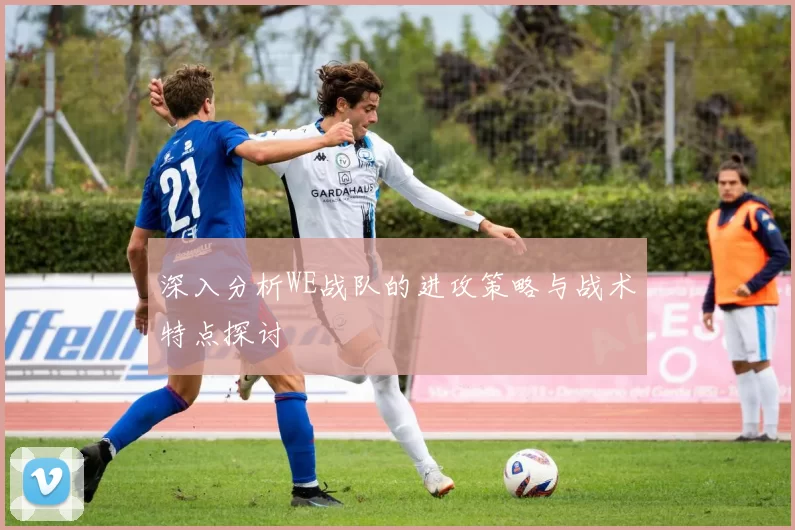 深入分析WE战队的进攻策略与战术特点探讨
