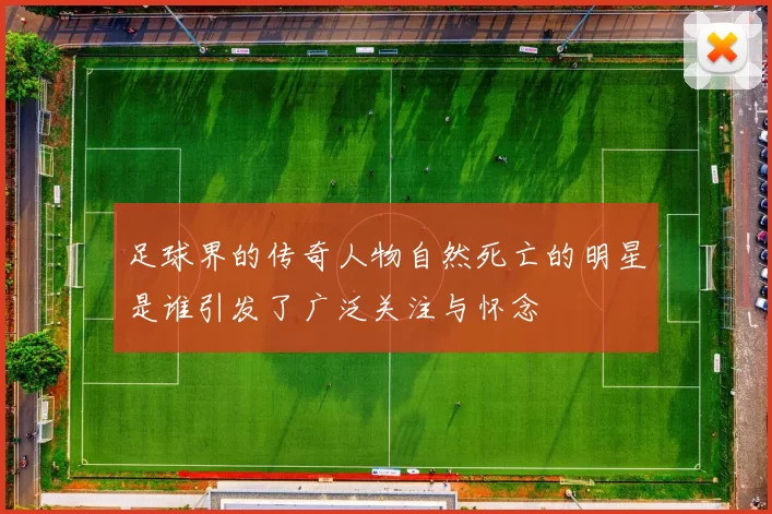足球界的传奇人物自然死亡的明星是谁引发了广泛关注与怀念