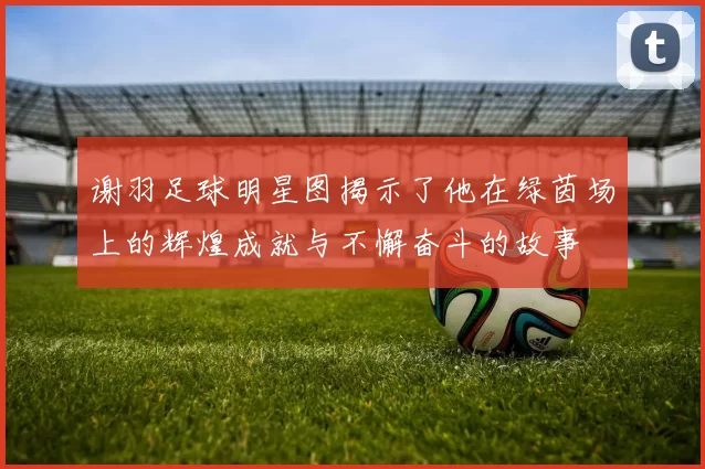 谢羽足球明星图揭示了他在绿茵场上的辉煌成就与不懈奋斗的故事