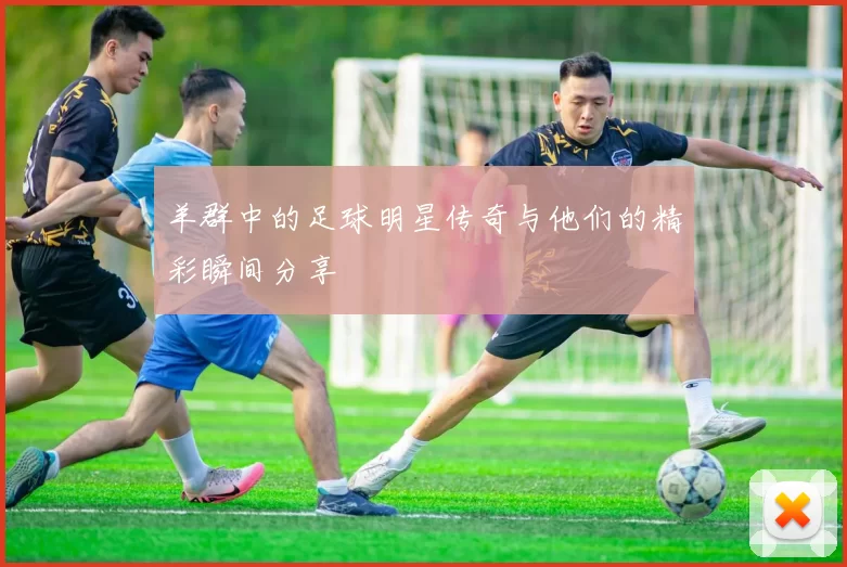 羊群中的足球明星传奇与他们的精彩瞬间分享