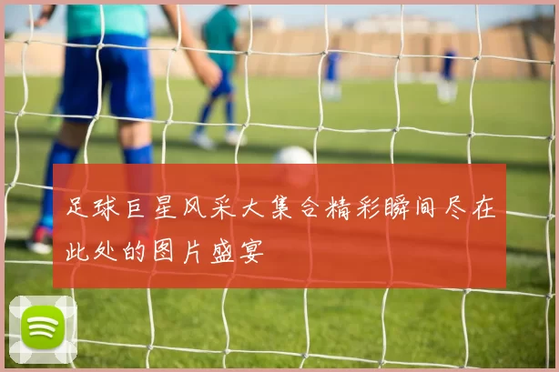 足球巨星风采大集合精彩瞬间尽在此处的图片盛宴