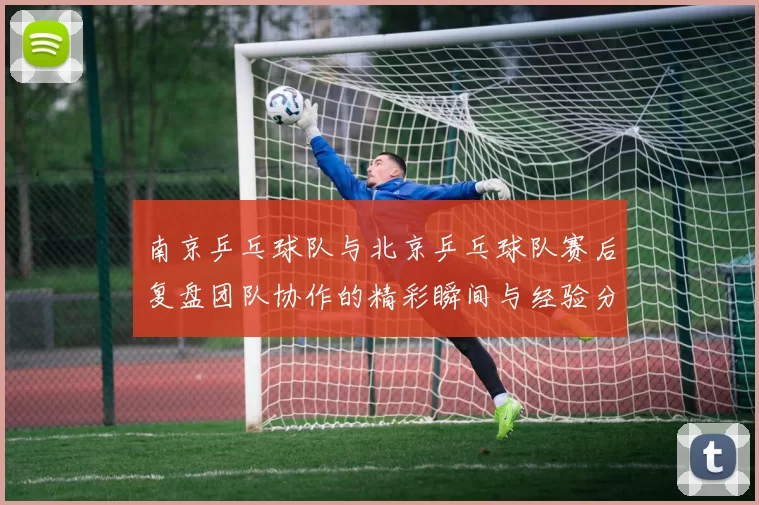 南京乒乓球队与北京乒乓球队赛后复盘团队协作的精彩瞬间与经验分享