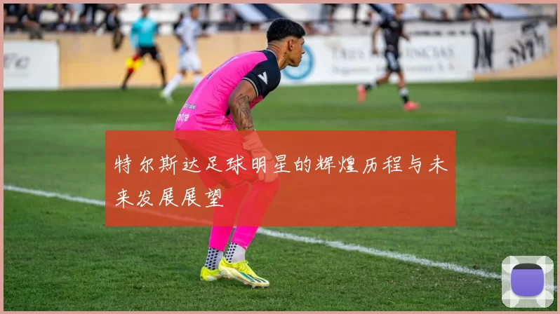 特尔斯达足球明星的辉煌历程与未来发展展望