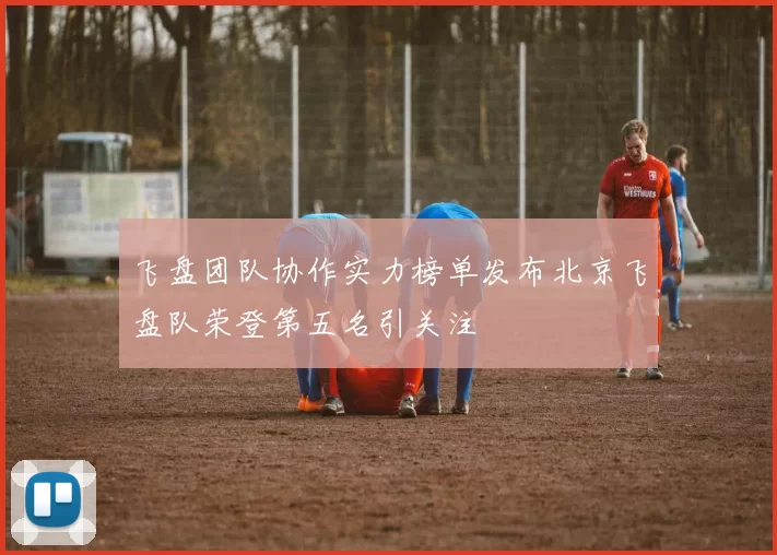 飞盘团队协作实力榜单发布北京飞盘队荣登第五名引关注