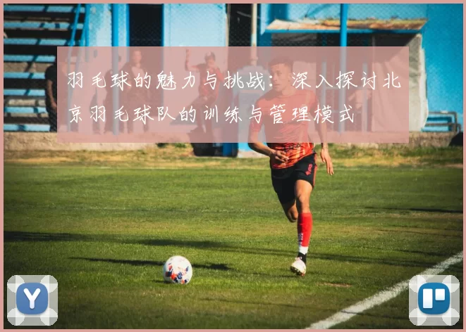 羽毛球的魅力与挑战：深入探讨北京羽毛球队的训练与管理模式