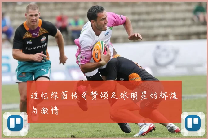 追忆绿茵传奇赞颂足球明星的辉煌与激情