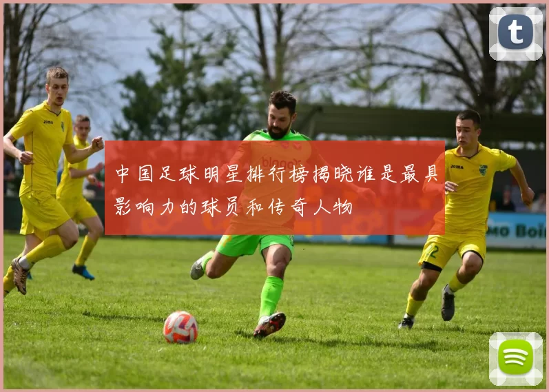 中国足球明星排行榜揭晓谁是最具影响力的球员和传奇人物
