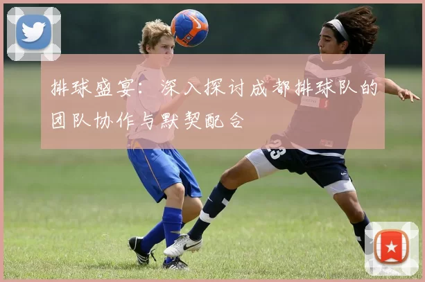 排球盛宴：深入探讨成都排球队的团队协作与默契配合